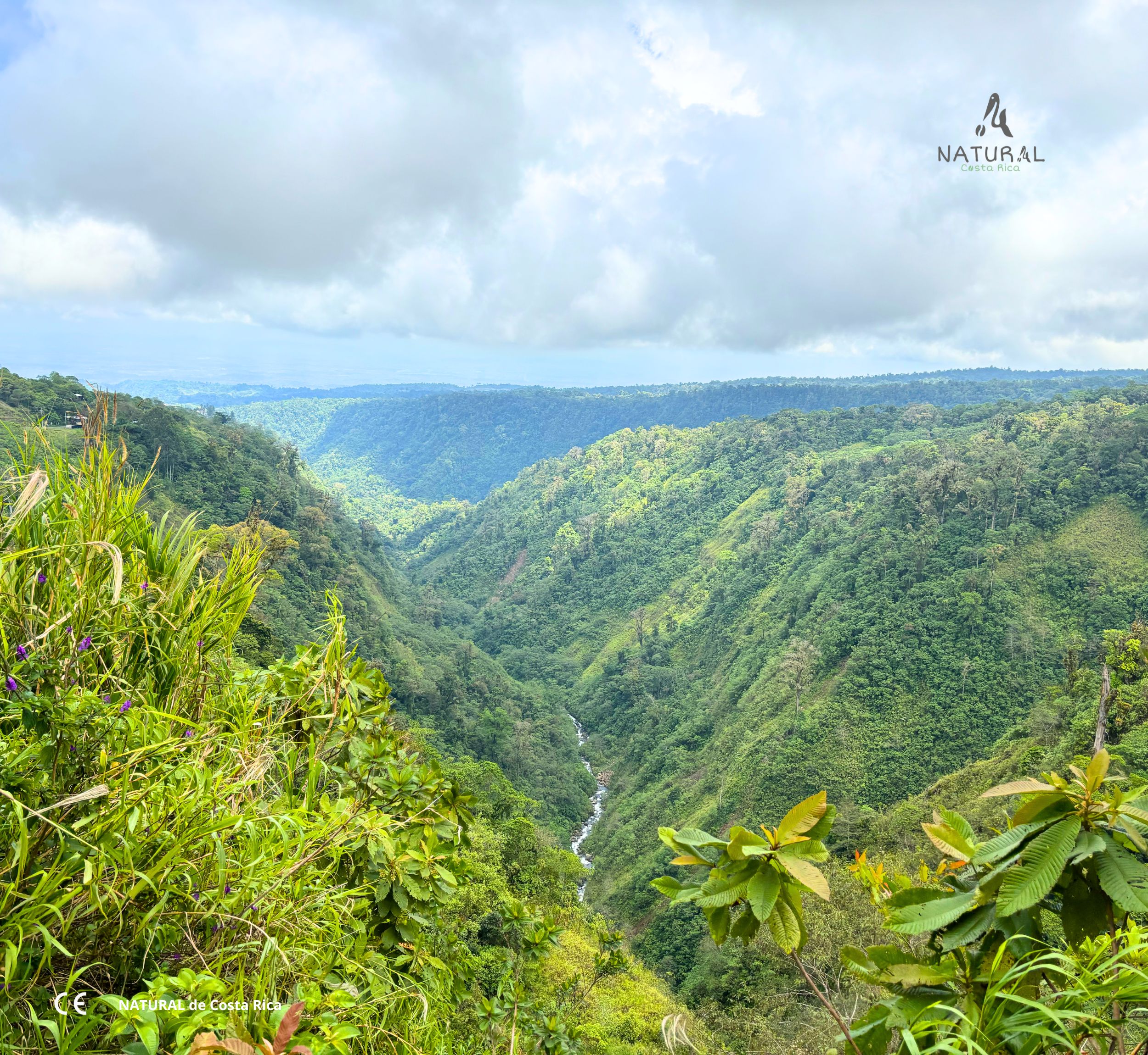 Paisaje de las tierras altas costarricenses
